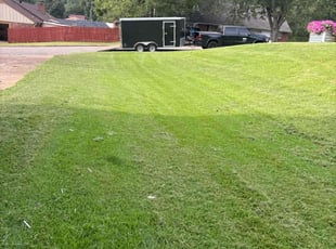 Susanne M.'s Lawn Care service result