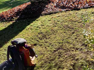 Leaf Removal by Dave R for Lisa P. in Smithfield, RI