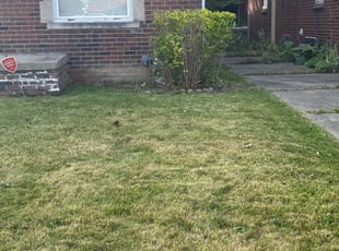 Bush Trimming by Valerie Glenn for James R. in Detroit, MI