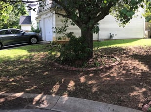 Leaf Removal by Jeffrey Terry for Bryan N. in Charlotte, NC