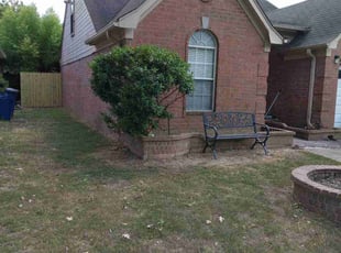 Bush Trimming by Robert Beals for Nacole E. in Olive Branch, MS
