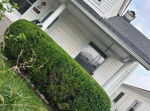 Bush Trimming by Kasandra Mazariegos Escobar for Austin L. in Louisville, KY