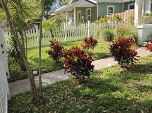 Bush Trimming by Jeffrey Marcotte for Stacy P. in St. Petersburg, FL
