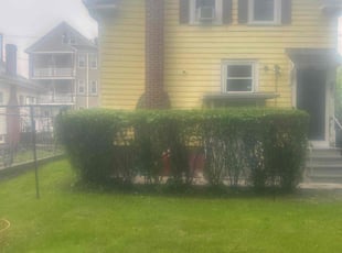 Bush Trimming by Tammy Sarandrea for Natacha L. in Providence, RI