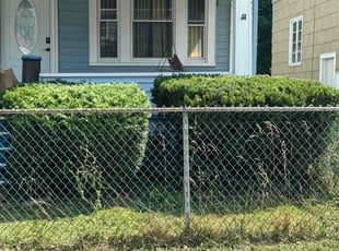Bush Trimming by Ebony Pilcher for John a. in Niagara Falls, NY