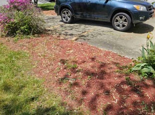Bush Trimming by Olson Parker for RA S. in Fort Washington, MD