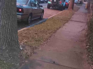 Leaf Removal by Reginald White for Jason K. in Kansas City, MO