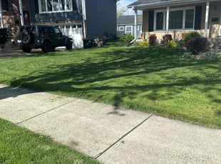Diandra A.'s Lawn Mowing service result