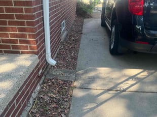 Leaf Removal by Edward Shubert for Nick P. in Southgate, MI