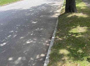 Cleanups by Harry Figueroa for Andres R. in Springfield, MA