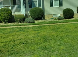 Leaf Removal by Donnie Banks for Mark J. in Midlothian, VA