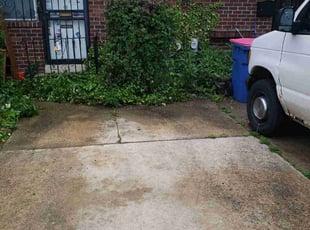 Bush Trimming by Jamil Hafeeza for Eric W. in Philadelphia, PA