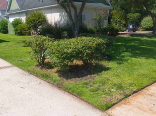 Bush Trimming by Jason Hughes for Chase M. in Savannah, GA