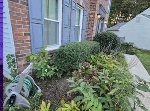 Bush Trimming by Jairon Villagran for Andrew G. in Gaithersburg, MD