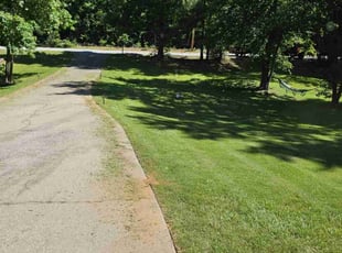 Linda L.'s Yard Cutting service result