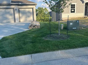 Jim S.'s Lawn Service service result