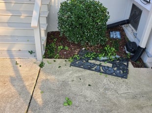 Bush Trimming by Marion Williams for Mark K. in Laurel, MD