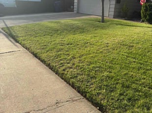 Dennis D.'s Lawn Care service result