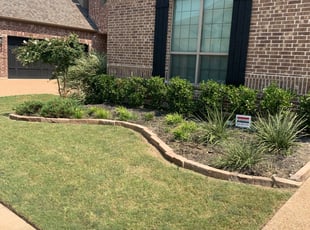Weeding by Patrick Hensley for Jennifer S. in McKinney, TX