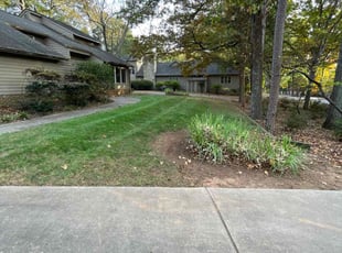Barbara S.'s Lawn Service service result