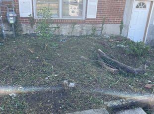 Weeding by Joseph Muluya for Christianah F. in Catonsville, MD