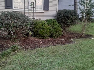 Weeding by Robert Collins for Christina J. in Covington, LA