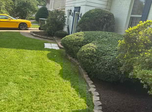 Mulching by candelario castillo for Thomas D. in Annandale, VA