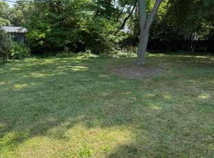 Leaf Removal by Hassan Hassan for Noemi B. in Bay Village, OH