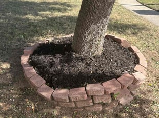 Mulching by Rhett Lambas for David F. in Hurst, TX