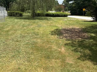 Cleanups by B fleming for Adam S. in Conyers, GA