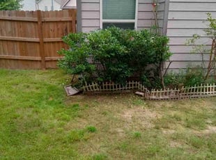 Bush Trimming by Raymond Hite-Witt for Jessie Z. in Lawrenceville, GA