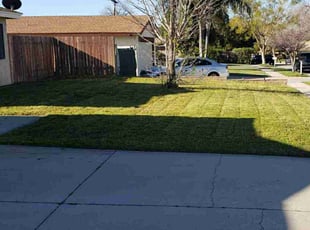 Lisa J.'s Lawn Care service result