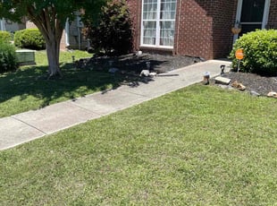 Frankie c.'s Lawn Care service result
