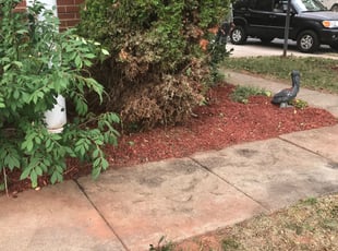 Weeding by Khalim Yularnis for Brenda R. in Sterling, VA