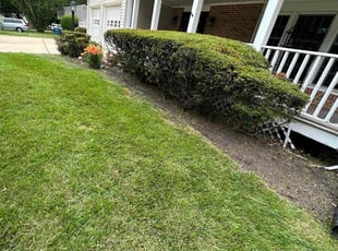 Bush Trimming by Fidel Rodriguez for Sarah P. in Springfield, VA