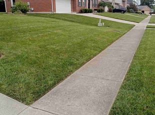 Christian G.'s Yard Cutting service result
