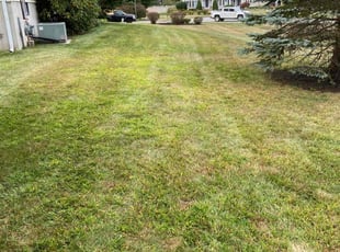 Michael S.'s Lawn Mowing Service service result