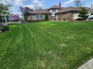 Christina R.'s Lawn Maintenance service result