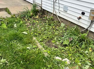 Weeding by Freddie Dearing for Patrice M. in Bloomington, IL
