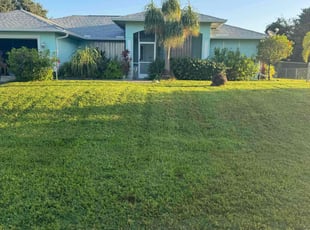 Nelson M.'s Lawn Mowing service result