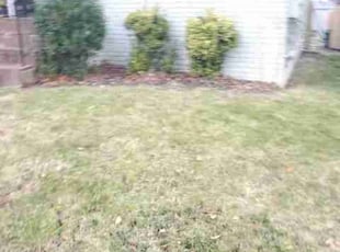 Leaf Removal by Chris Stewart for Seitz S. in Washington, DC