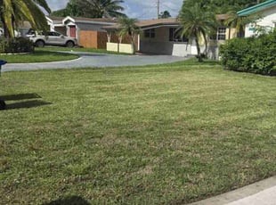 David D.'s Lawn Care service result