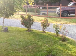 Bush Trimming by Troy Allman for Brian G. in Spanaway, WA
