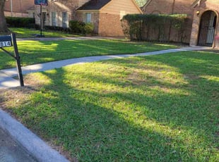 Leaf Removal by Jesus Fortanel for Sarah M. in Houston, TX