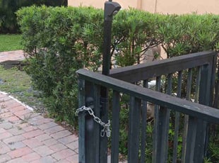 Bush Trimming by Frank Furia for Alicia P. in West Palm Beach, FL