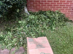 Bush Trimming by Jazzmin Earl for Antoine G. in Ellenwood, GA
