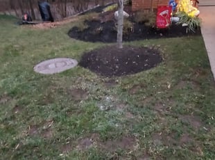 Leaf Removal by Miguel Martinez for Deborah W. in Vienna, VA