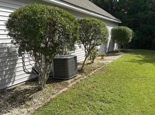 Bush Trimming by Shane Digon for Alexandra D. in Leland, NC