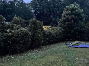 Bush Trimming by Jeff Lingerfelt for Michael W. in Belmont, NC