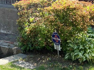 Bush Trimming by Brian Corchado-Martinez for Ramzi G. in Philadelphia, PA
